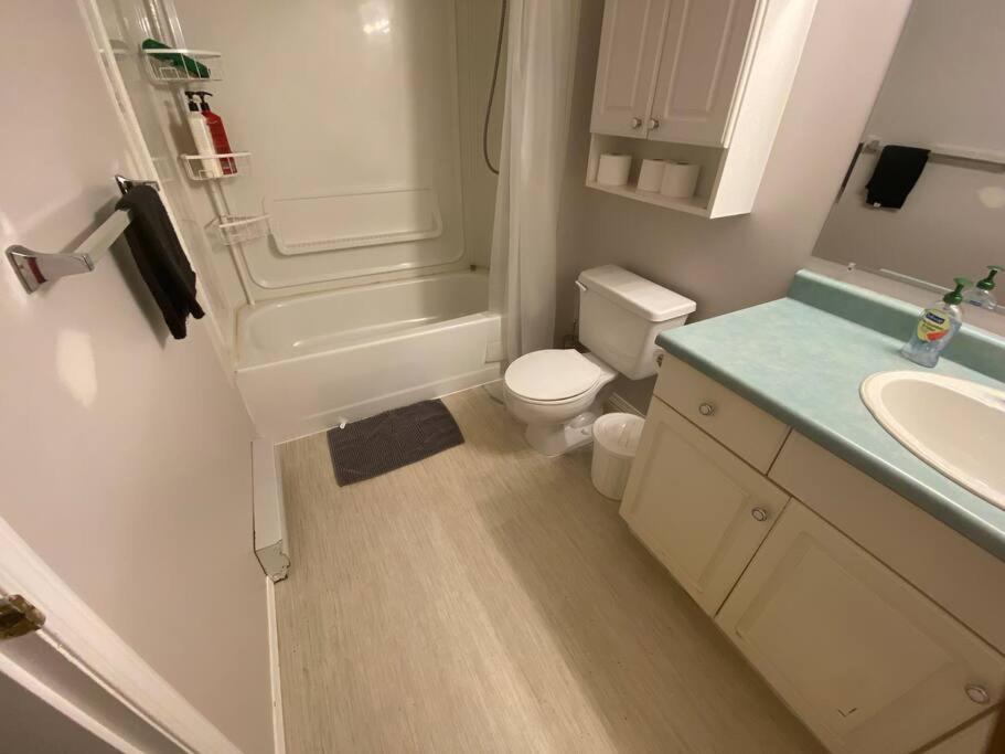Artistic Apartment Near Downtown ビクトリア エクステリア 写真