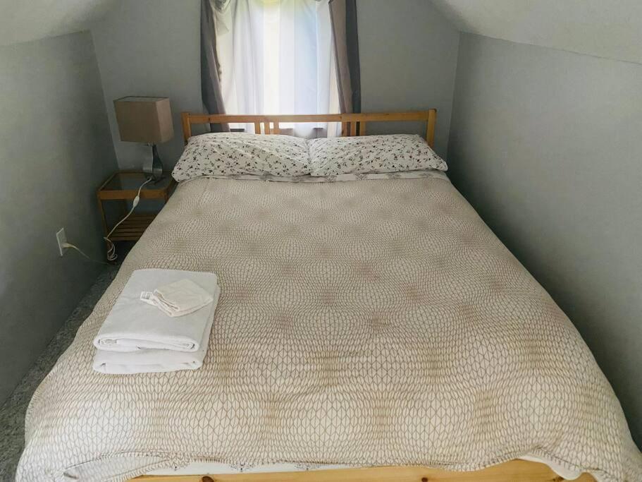 Artistic Apartment Near Downtown ビクトリア エクステリア 写真
