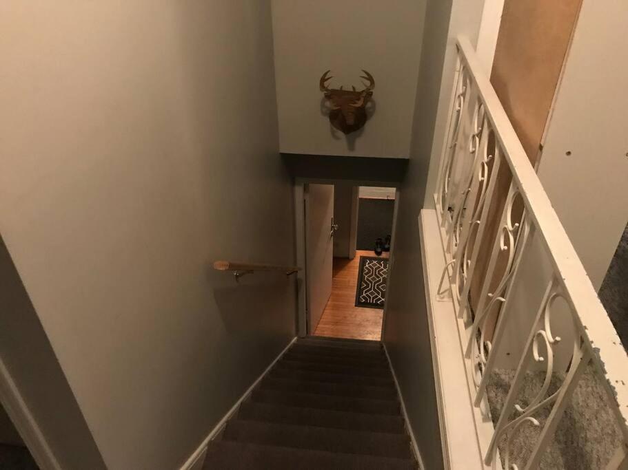 Artistic Apartment Near Downtown ビクトリア エクステリア 写真